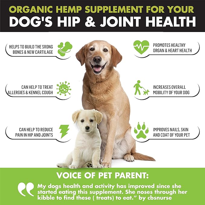 Advanced Hemp Hip and Joint Supplement for Dogs - Hemp Oil Glucosamine Chondroitin for Dog - Omegas - Turmeric - MSM - Green Lipped Mussel, Made in USA treats support mobility - 120 Chews