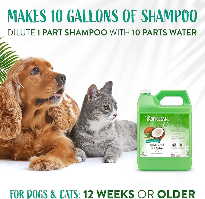 TropiClean Medicated Dog Shampoo for Allergies and Itching | Tea Tree & Oatmeal Dog Shampoo for Sensitive Skin | Natural Pet Shampoo Derived from Natural Ingredients | Made in the USA | 1 gallon