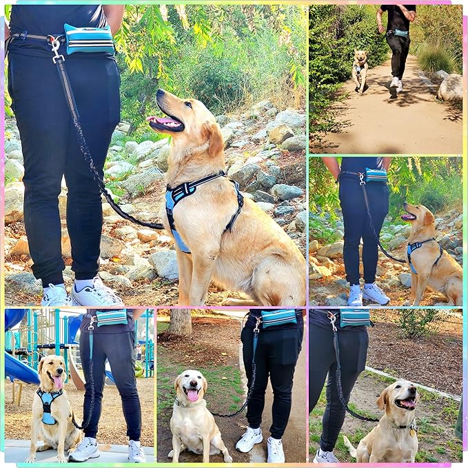 Hands Free Dog Leash with Zipper Pouch, for Medium and Large Dogs, 4Ft 6 Ft, Waist Leash for Dog, Durable Bungee for Walking, Jogging, and Running Your Dog (Large, 25-120 lbs, Blue)