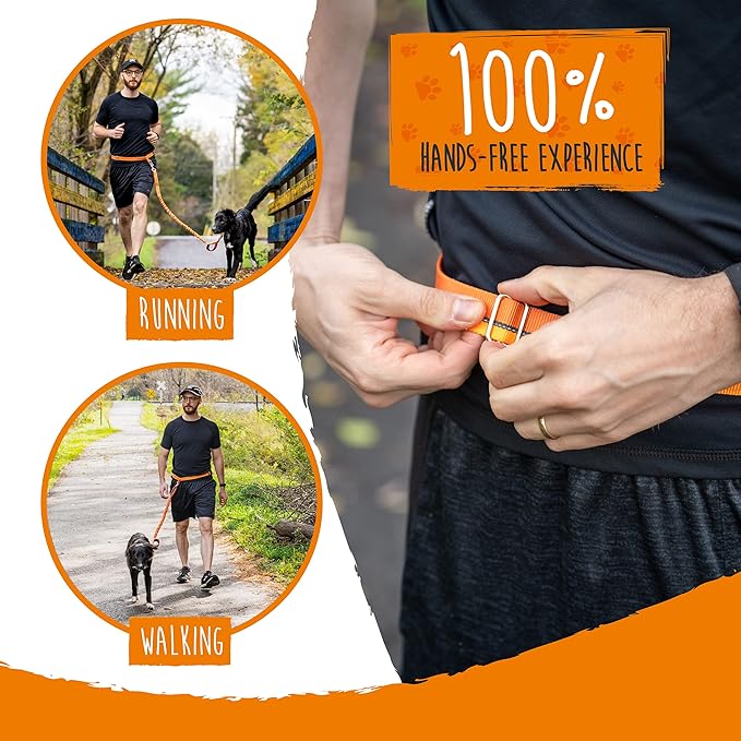 Mighty Paw Hands Free Dog Leash | Bungee Waist Leash for Dog Walking. Dog Running Leash Hands Free. Hands Free Leash for Large Dogs, Medium & Small Dogs. Dog Leash Waist Belt (36" - 48") Up To 150 lbs