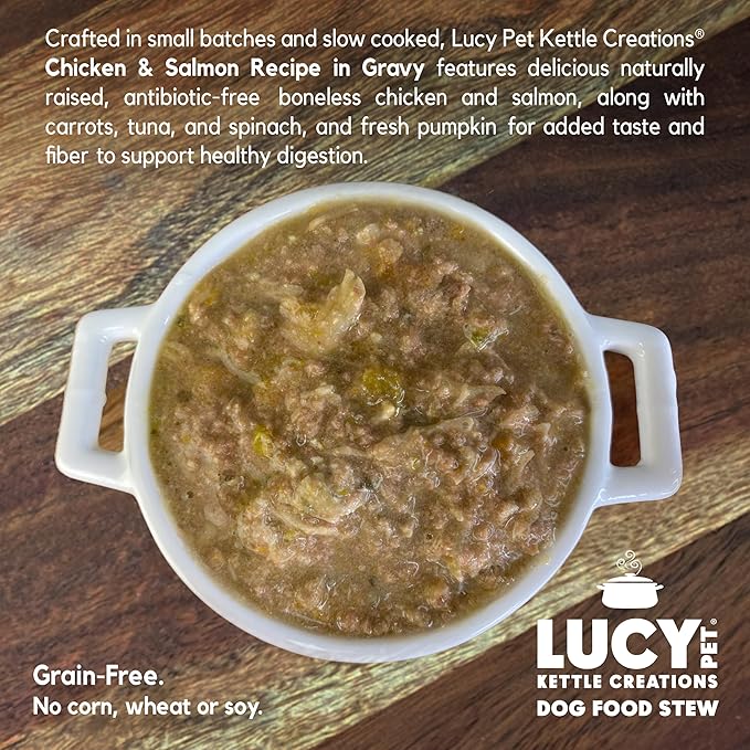 Lucy Pet Chicken & Salmon Recipe in Gravy for Dogs 12.5oz (12 Count)