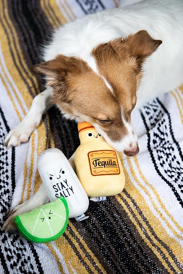 Pearhead Pet Toys, Plush Dog Squeaker Toys and Cat Teaser Toys, Dog Owner and Cat Owner Pet Toy Sets, Must Have Pet Accessories for Pet Owners