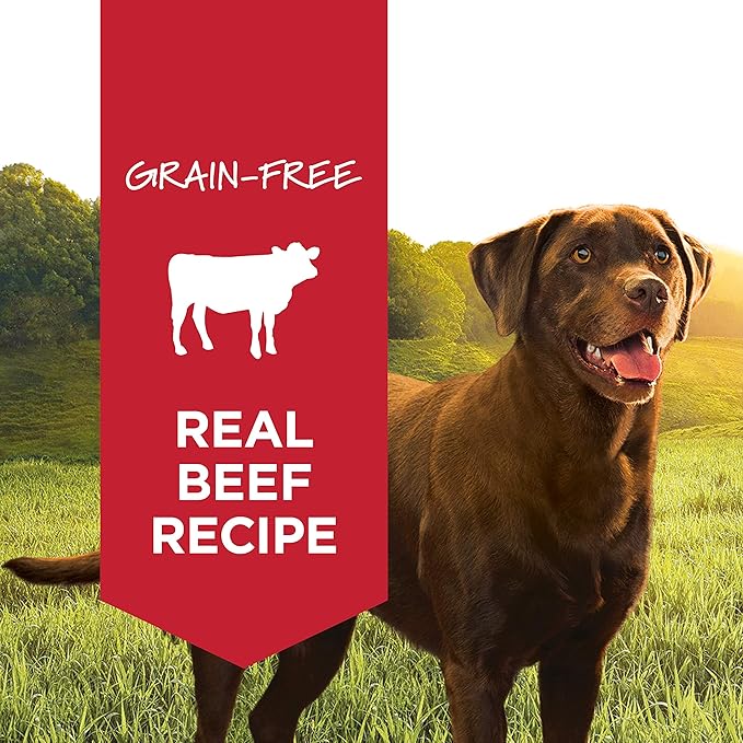 Instinct Original Grain Free Real Beef Recipe Natural Wet Canned Dog Food, 13.2 oz. Cans (Case of 6)