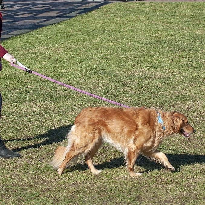 Furhaven Bungee Dog Leash w/ Quick Release Easy Tether - Lavender, One Size