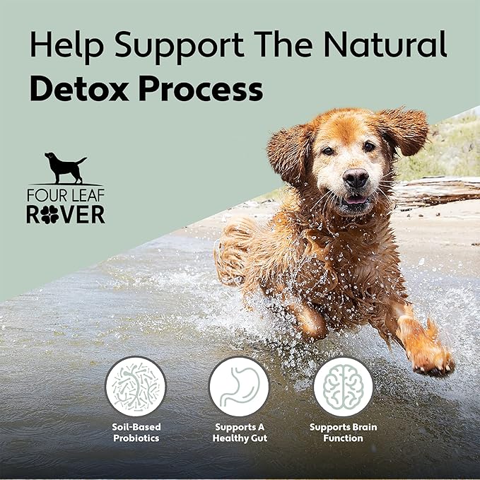 Protect - Soil-Based Probiotics for Dogs with Food-Based Prebiotics for Gut Health and Immune Support - 12 to 60 Day Supply, Depending on Dog’s Weight - Vet Formulated