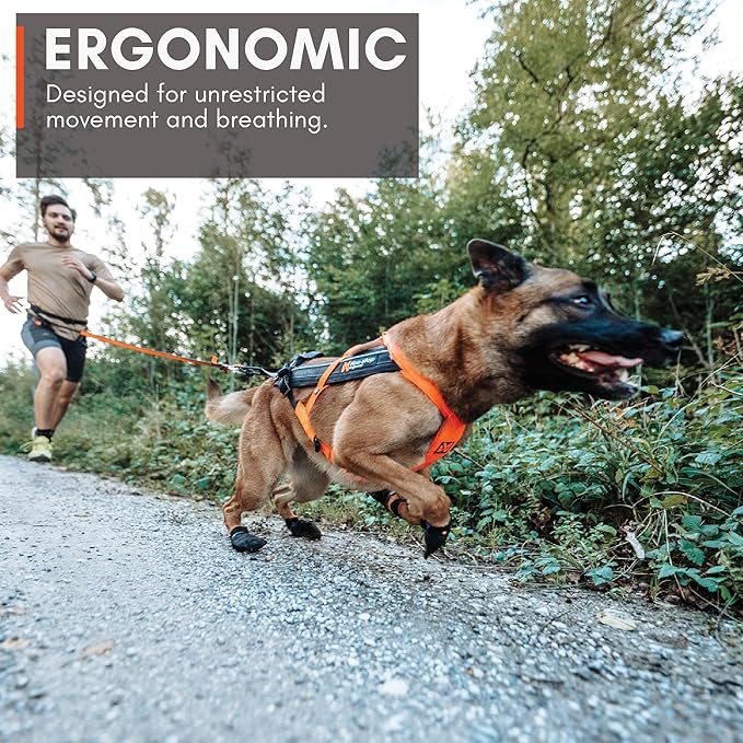 Non-stop dogwear Freemotion harness 5.0 Dog Pulling Harness for Sports like Running, Biking and Skiing with Dogs, Professional Adjustable Dog Harness, Orange/Black, Size 8