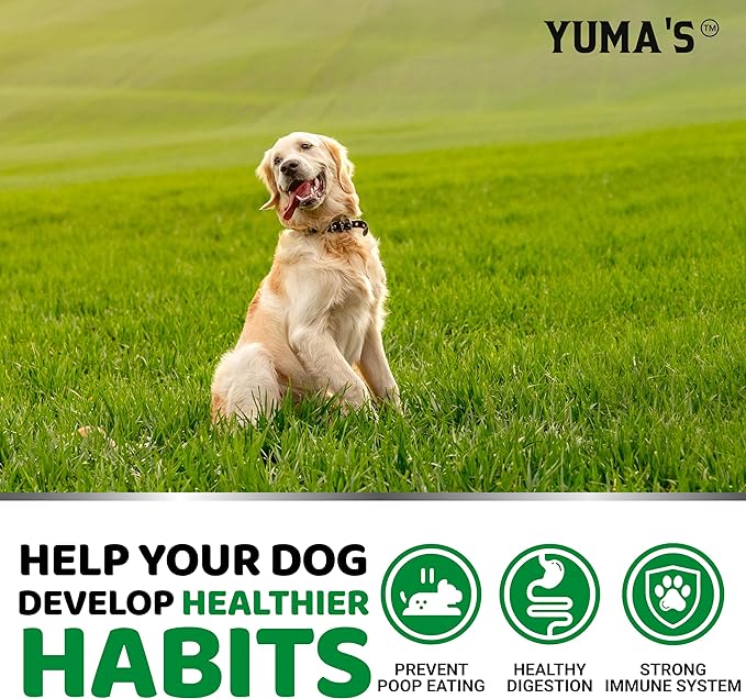 No Poo Chews for Dogs - 170 Ct - Coprophagia No Poop Eating Deterrent For Dogs - Prevent Dog from Eating Poop - Stop Eating Poop for Dogs - Forbid for Dogs Supplement - Probiotics & Digestive Enzymes