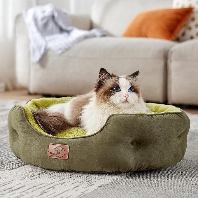 Bedsure Dog Beds for Small Dogs - Round Cat Beds for Indoor Cats, Washable Pet Bed for Puppy and Kitten with Slip-Resistant Bottom, 20 Inches, Lentil Sprout