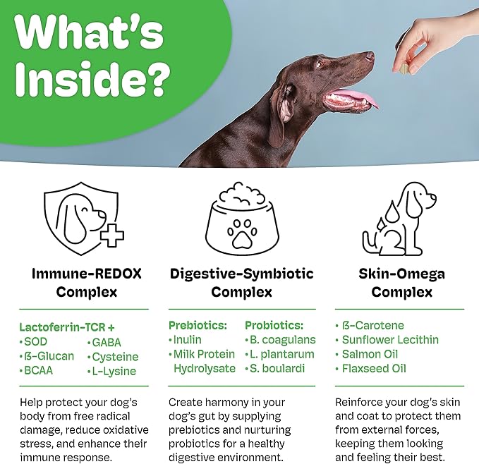 Emmuno Canine - Patented Digestive, Immune, Skin & Coat Health Supplement for Dogs - All Natural Lactoferrin, Probiotics, Prebiotics, Enzymes, Omega 3 Fish Oil and More - 90 Chewable Tablets
