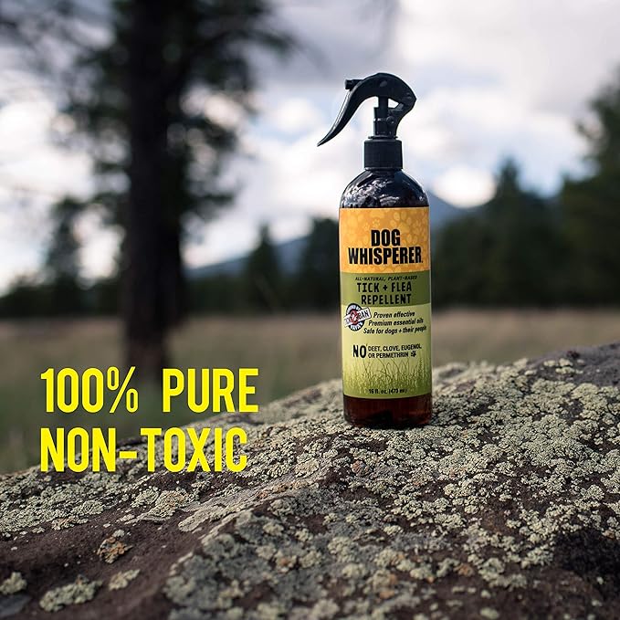 Dog Whisperer Tick + Flea Repellent, All-Natural, Extra Strength, Effective on Dogs and Their People 16 oz and 4 oz (2-Pack)
