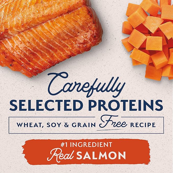 Natural Balance Limited Ingredient Small Breed Adult Grain-Free Dry Dog Food, Salmon & Sweet Potato Recipe, 12 Pound (Pack of 1), Salmon & Sweet Potato (New Formula)