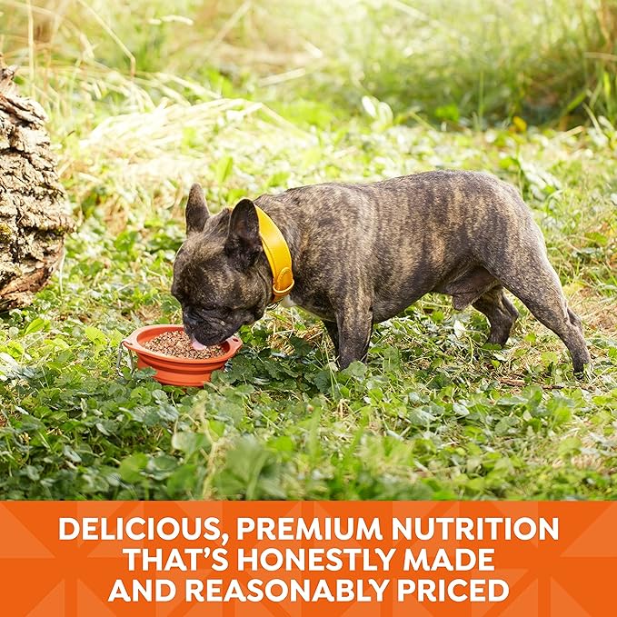 Nature’s Recipe Stew Chicken, Rice & Barley Recipe Wet Dog Food, 13.2 oz. Can, 12 Count