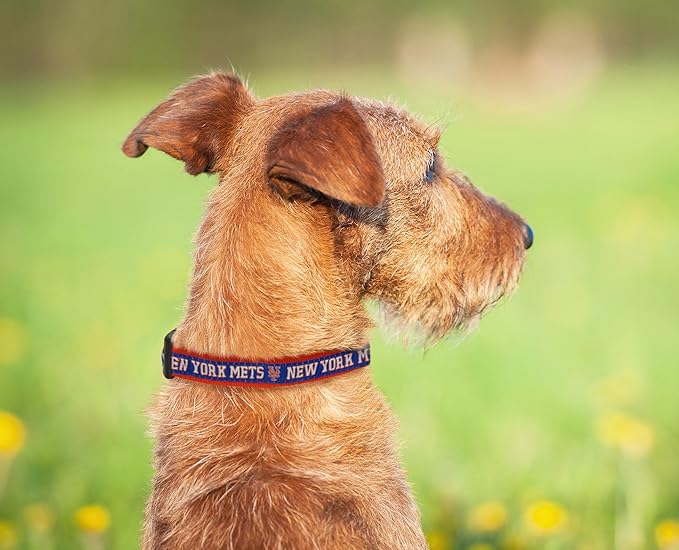 MLB New York Mets Licensed PET COLLAR- Heavy-Duty, Strong, and Durable Dog Collar. Available in 29 Baseball Teams and 4 Sizes