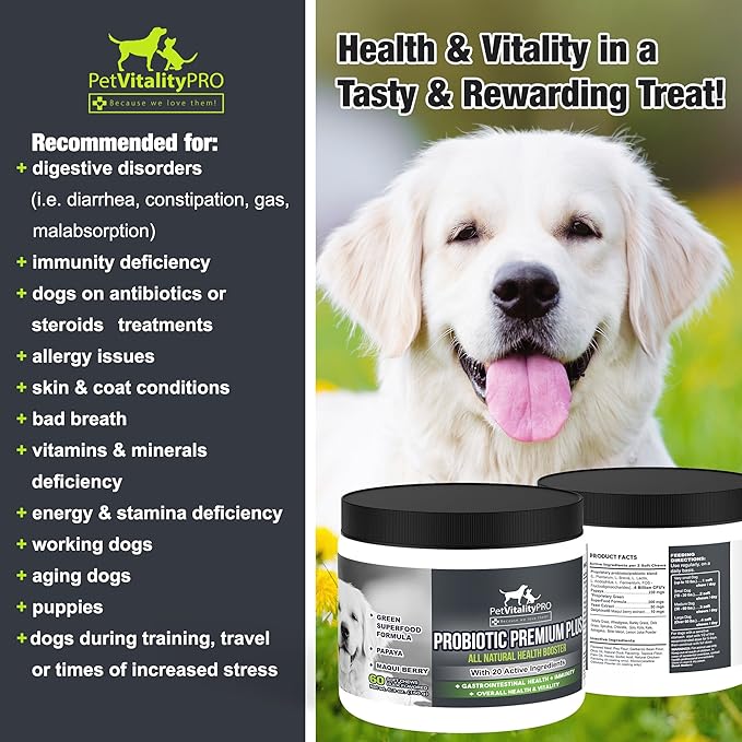 Probiotics for Dogs with Natural Digestive Enzymes ● 4 Bill CFUs/2 Soft Chews ● Dog Diarrhea Upset Stomach Yeast Gas Bad Breath Immunity Allergies Skin Itching Hot Spots ● 60 Count