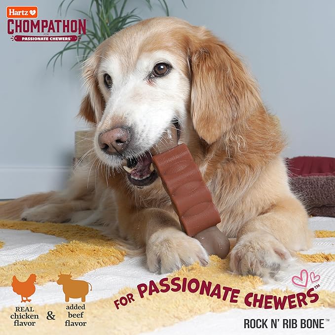 Hartz New Chompathon Rock 'N Rib Bone Dog Chew Toy for Aggressive Chewers, Double Layered Flavored with Chicken & Beef