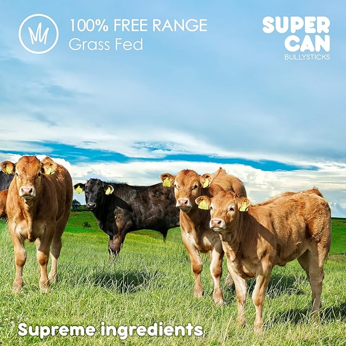Supercan Bully Sticks for Dogs 6" (40 Count) -100% Natural Farm Raised Beef Dog Chews. Free Range Grass Fed Non-GMO Treats for Dogs