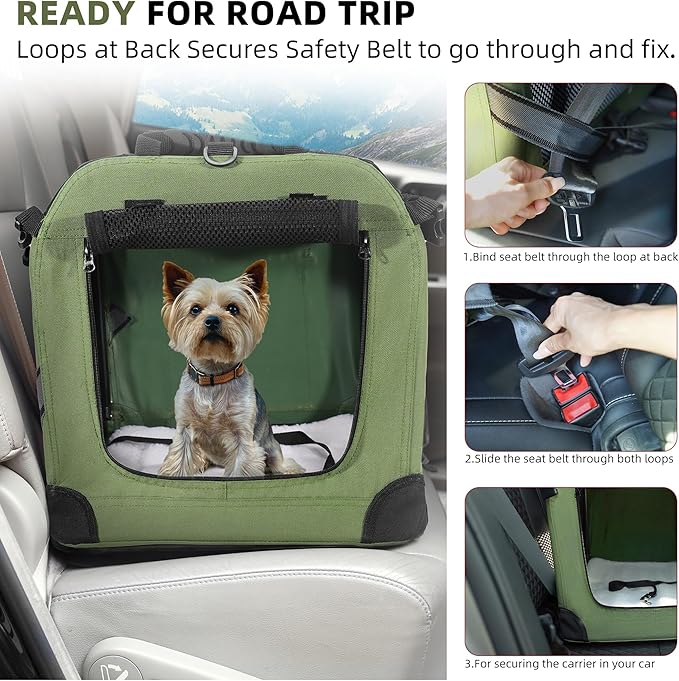 Large Cat Carrier for 2 Cats Small Medium Dogs, Soft Pet Carrier 24x17x17 for Traveling with Warm Blanket Foldable Bowl and Washable Pad
