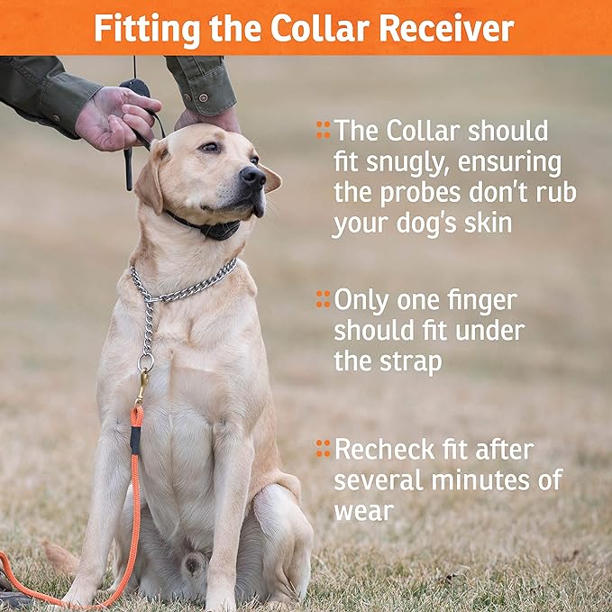 SportDOG Brand SportTrainer Dog Training Collars - 500 Yard Range - Bright, Easy to Read OLED Screen - Waterproof, Rechargeable Remote Trainer with Tone, Vibration, and Static - 2 Dog Expandable