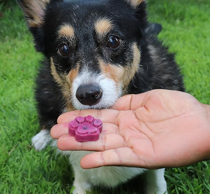 Win&Co Puppy Paws and Bones Bite Size Edition Silicone Molds Dog Snacks Home Made Treats