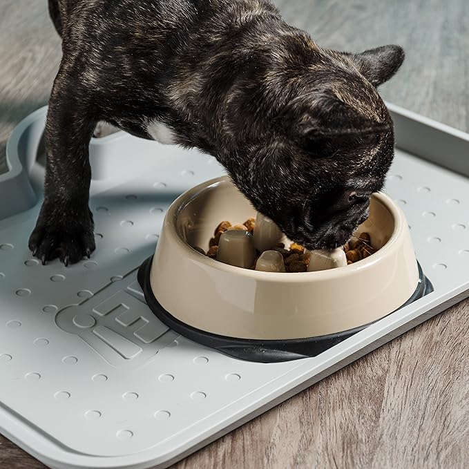 IRIS USA 2 Cups Slow Feeder Dog Bowl, Anti-Choking, Anti-Slip, Easy to Clean, Interactive Puzzle Toy, Healthy Digestion, Short snouted, Dogs Cats & Other Pets, BPA, PVC, Phthalate Free, Beige/Black