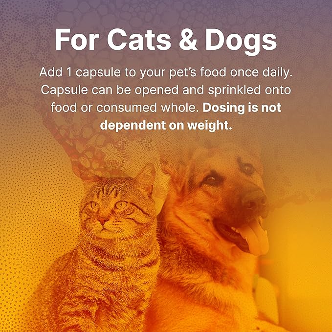 Microbiome Labs FidoSpore - Dog & Cat Digestive Supplement - Bacillus Subtilis Spore Based Probiotic to Support Digestion & Gut Health - Grass Fed Beef Liver Flavored Probiotics for Dogs (30 Capsules)