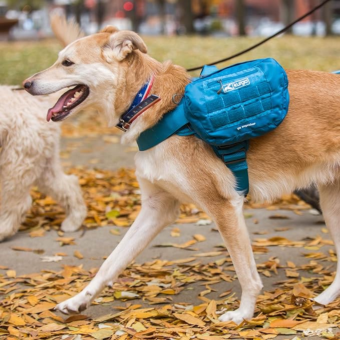 Kurgo Backpack Dog Harness Pack Add-Ons, Tactical Molle Pouch for Harnesses, Detachable Service Dog Pouches, RSG Pack Pannier (Coastal Blue)