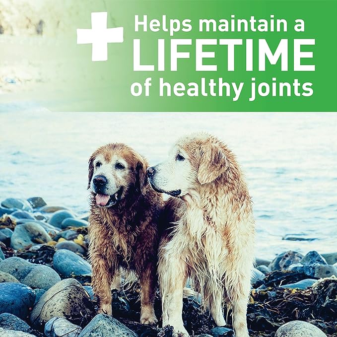 Greenies Aging Care Petite Natural Dental Care Dog Treats, 27 oz. Pack (45 Treats)