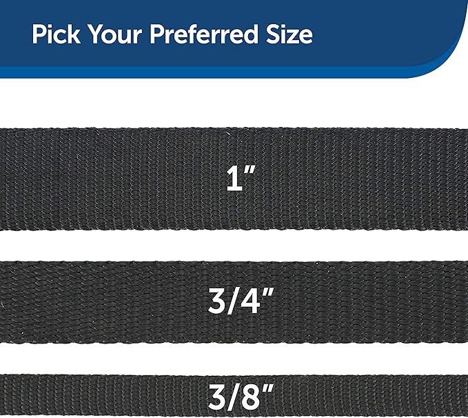 PetSafe Nylon Dog Leash - Strong, Durable, Traditional Style Leash with Easy to Use Bolt Snap - 3/4 in. x 4 ft., Black