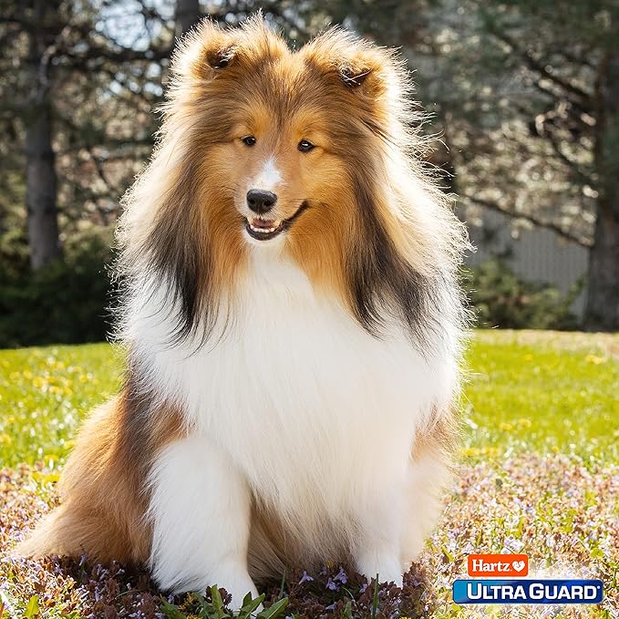 Hartz UltraGuard Pro Topical Flea & Tick Prevention for Dogs and Puppies, 15-30 lbs 6 Monthly Treatments