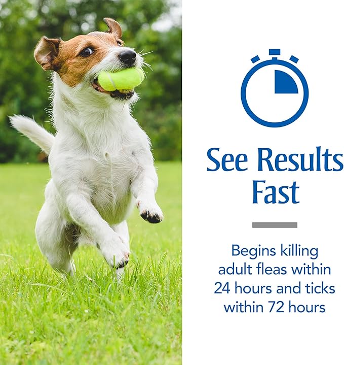 PetArmor for Dogs, Flea and Tick Treatment for Medium Dogs (23-44 Pounds), Includes 3 Month Supply of Topical Flea Treatments