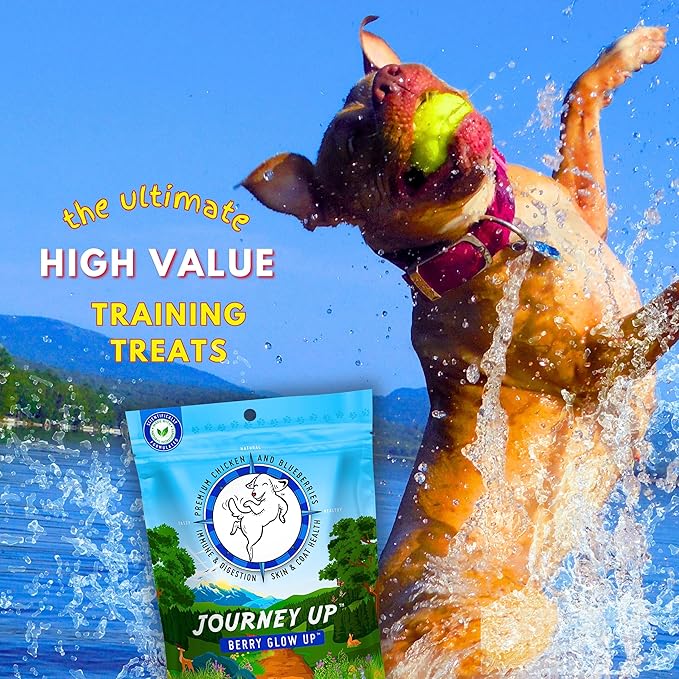 Journey Up Berry Glow Up, Chicken and Blueberry Dog Jerky Treats Made in USA with Prebiotics for Gut & Immune, Omega 3s & 6s for Skin & Coat, Antioxidants for Healthy Aging, Small-Large Dog, 12 oz.