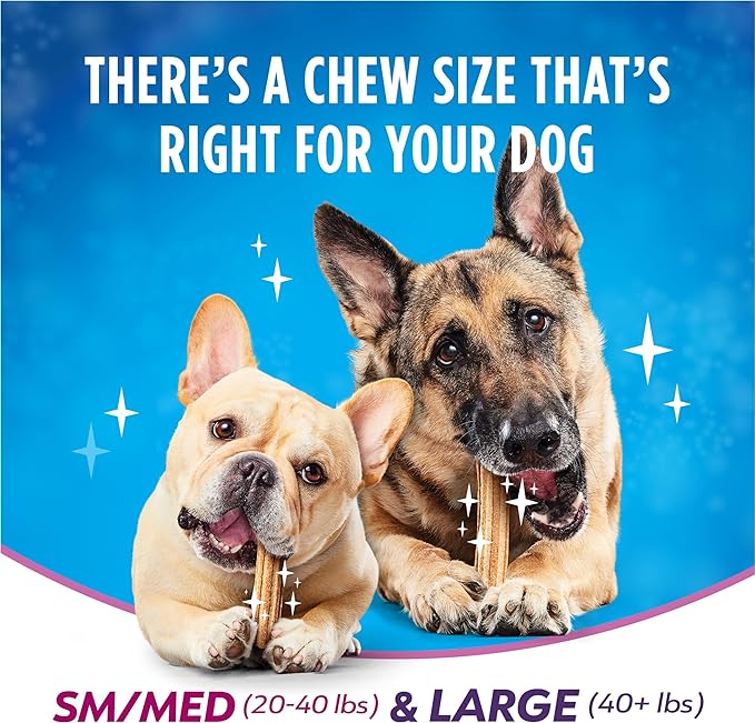 Dentalife Purina Plus Digestive Support Chicken and Pumpkin Flavor Large Dog Dental Chews, MP - 19 ct. Pouch