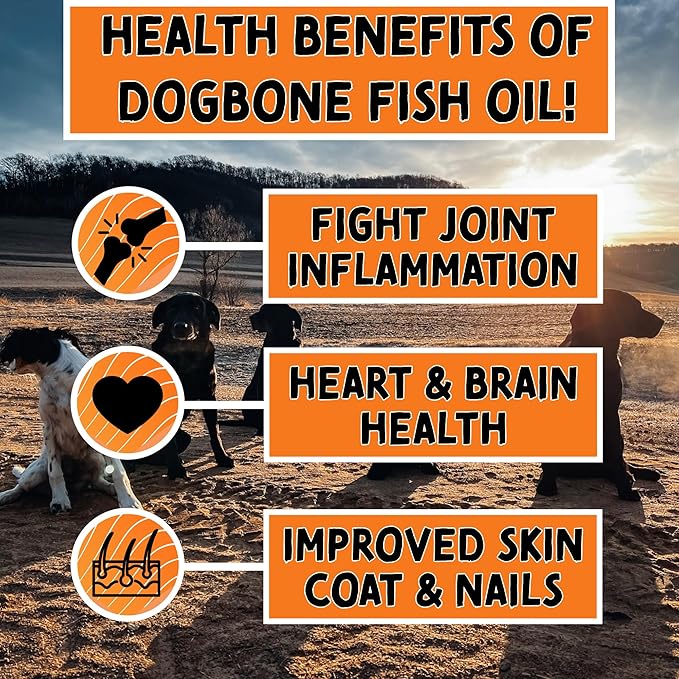 DogBone Wild Alaskan Fish Oil for Dogs 32 oz | Salmon Oil for Dogs | Dog Fish Oil | Omega 3 for Dogs | Dog Joint Supplement | Dogs Vitamins and Supplements | Salmon Oil for Dogs Skin and Coat