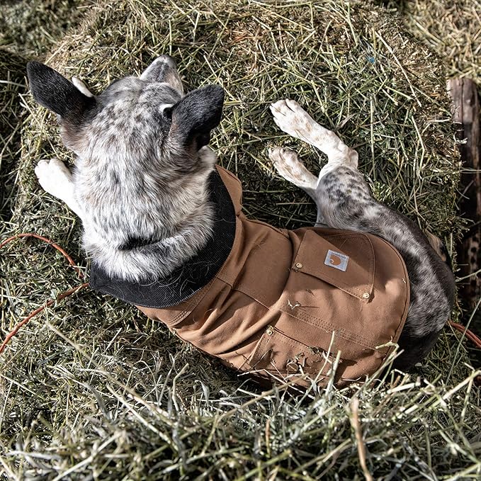 Carhartt Firm Duck Insulated Dog Chore Coat Army Green/Brass , Large