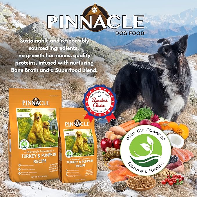 pinnacle pet Turkey & Pumpkin Dry Dog Food 4 lb, Infused with Broth