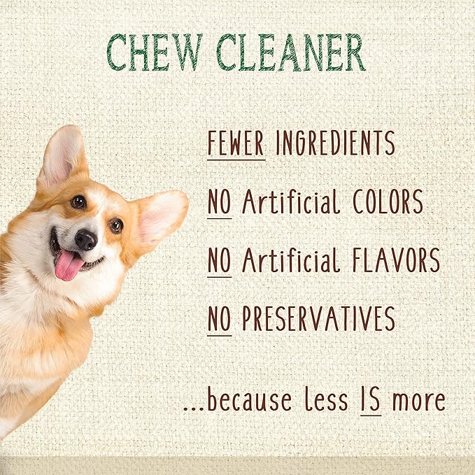 Nylabone Nutri Dent Dog Dental Chews - Natural Dog Teeth Cleaning & Breath Freshener - Dental Treats for Dogs - Filet Mignon Flavor, Mini (32 Count)