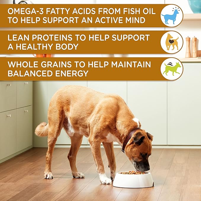 Nutrish Rachael Ray Chunks in Gravy Wet Dog Food Variety Pack, 13 Ounce (Pack of 12)