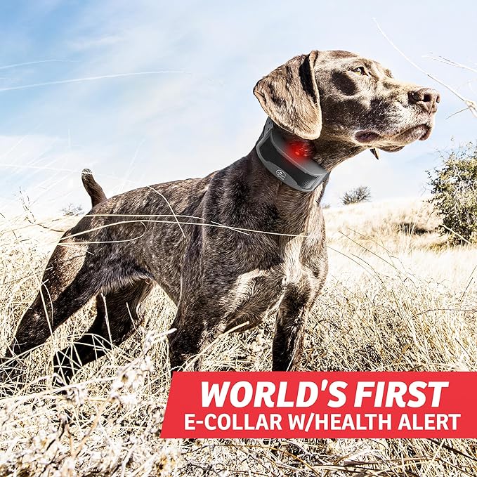 SportDOG Brand FieldSentinel 825 Shock Collar for 2 dogs with Bodyguard Health Alerts – World’s First E-Collar w/ Health Monitoring – ½ Mile Range - Train with Shock, Vibrate, and Tone
