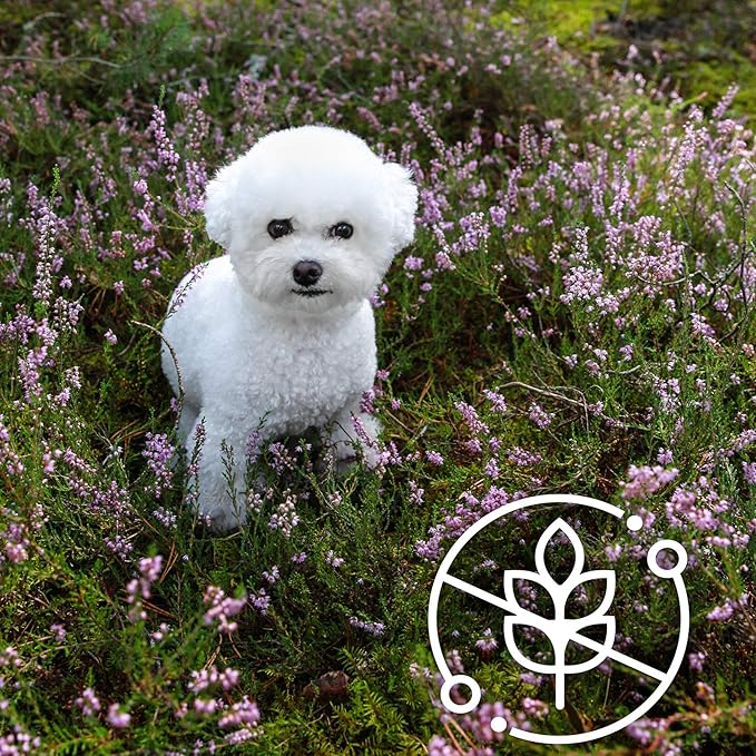 Nature's Protection Superior Care White Dogs Grain-Free Dry Dog Food for Junior Light Coated Dogs, Salmon, 3.3 lbs.