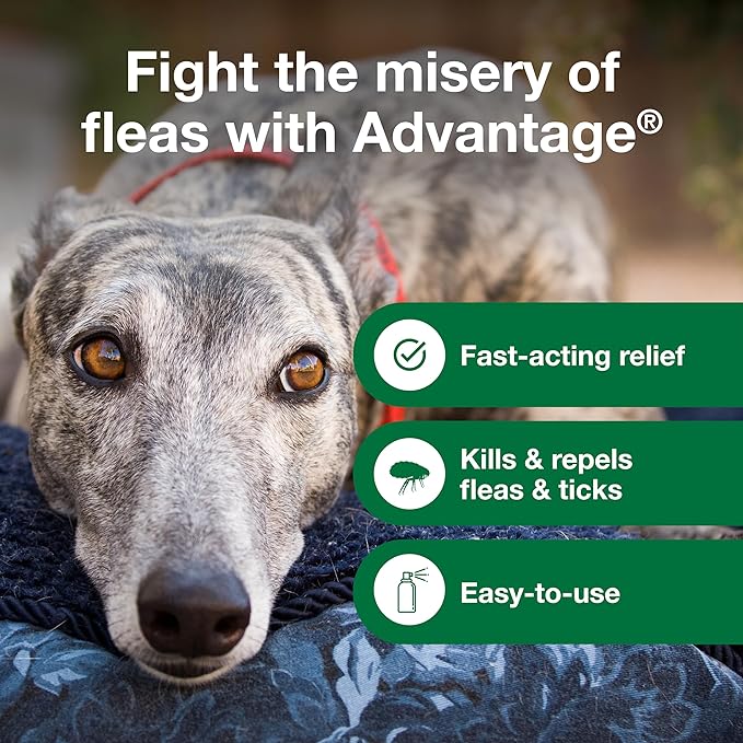 Advantage Dog Flea Treatment Spray | Kills Fleas & Ticks | Dog Flea Spray | 15 oz.