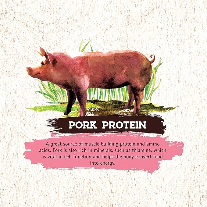 Inception® Dry Dog Food Pork Recipe – Complete and Balanced Dog Food – Meat First Legume Free Dry Dog Food – 4 lb. Bag