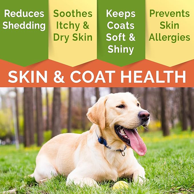 Fish Oil Omega 3 for Dogs - Allergy Relief - Joint Health - Itch Relief, Shedding - Skin and Coat Supplement - Alaskan Salmon Oil Chews - Omega 3 6 9 - EPA & DHA Fatty Acids