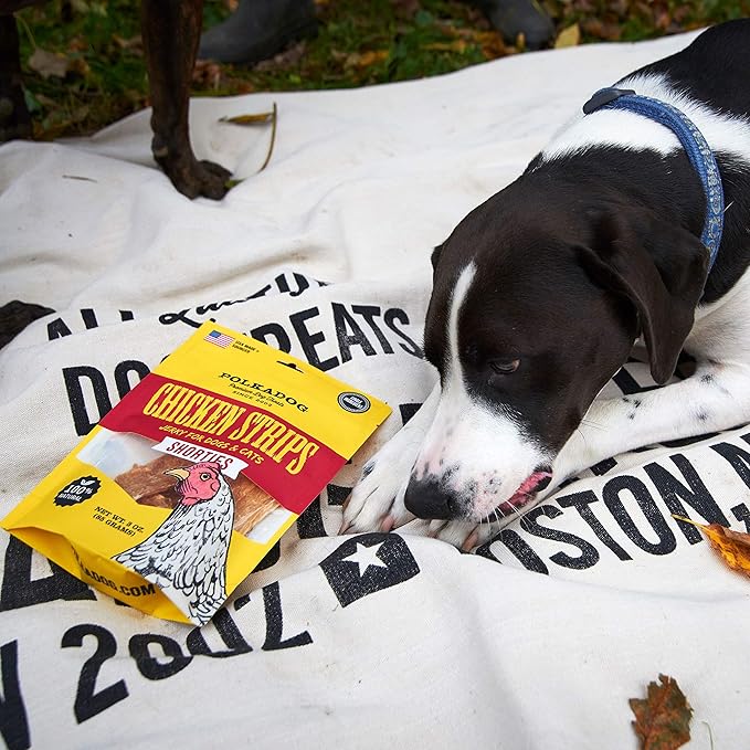 Polkadog Chicken Strip Jerky Dog & Cat Treat - Handmade, Single-Ingredient, Grain Free, USA Farm-Raised Chicken - Dog Jerky Treat - Made in USA, 3oz
