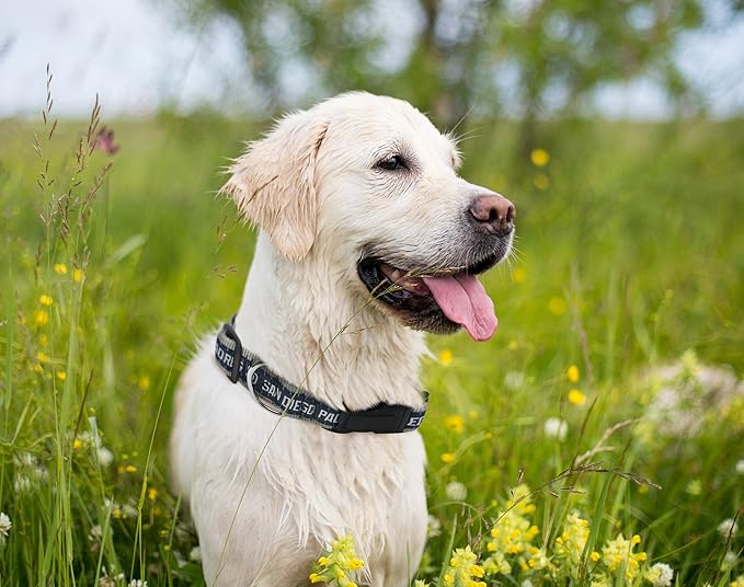 MLB San Diego Padres Licensed PET COLLAR- Heavy-Duty, Strong, and Durable Dog Collar. Available in 29 Baseball Teams and 4 Sizes