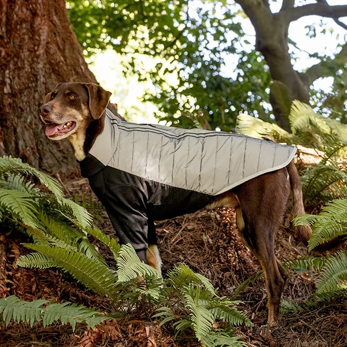 Furhaven Water-Repellent Large Dog Coat, Washable & Reflective w/ Leash Access & Stretch Fabric - Pro-Fit Active Jacket - Chrome, Large