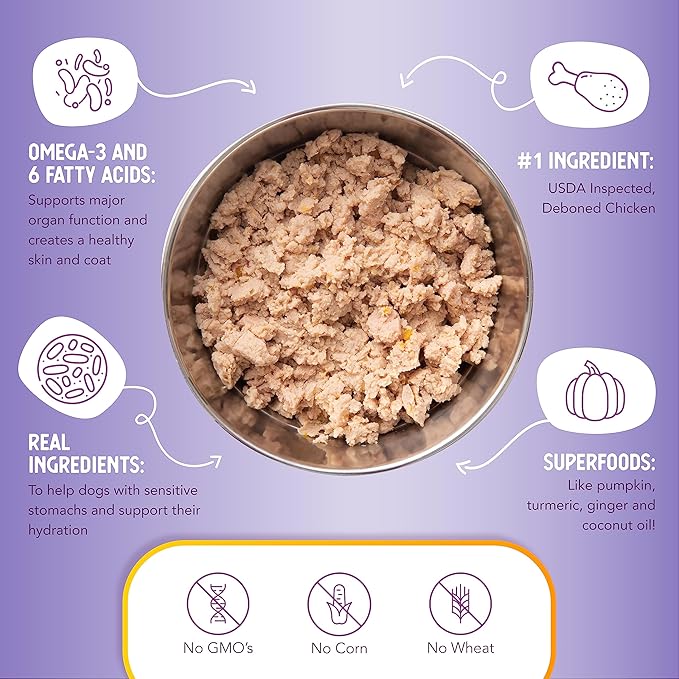 Health Extension Gravy Dog Food, Chicken Meal & Pumpkin Entrée, Crude Protein, Fiber & Fat with Added Vitamins, All Life Stages, Wet Dog Food, Improve Gut Health, Digestive Support (9 Ounce, 12 Cans)