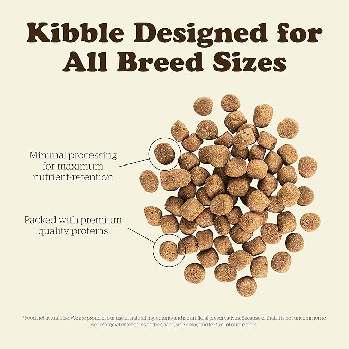 Now Fresh Grain Free Dog Food, 12 lb – Grain Free Dry Dog Food Recipe for Adult Dogs with Real Meat and Fish for Protein – for Small, Medium and Large Breeds