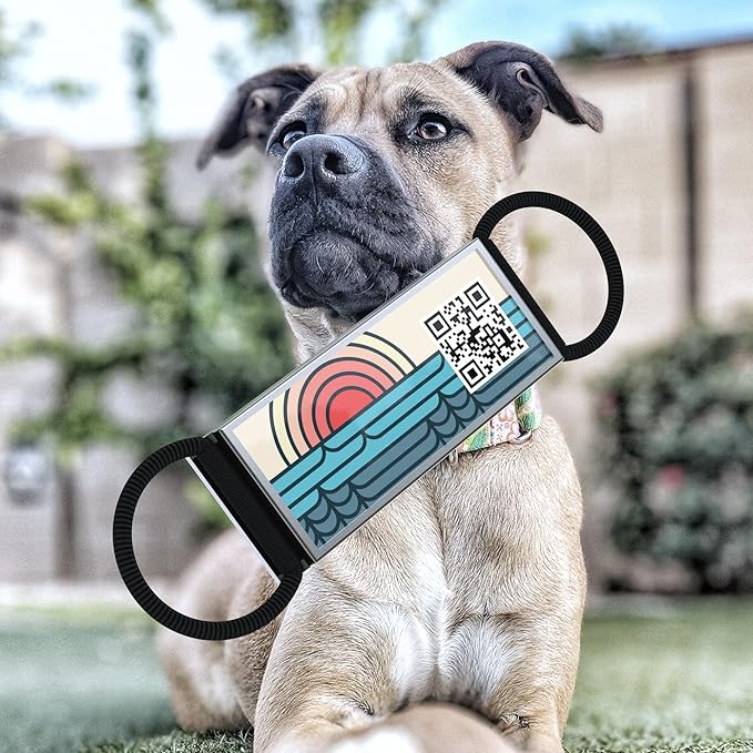 QR Code Dog Tag,Silent Dog Tags Personalized for Pets, Slide On Dog Tag,Custom Dog Name ID Tags Personalized Noiseless Dog and Cat Tags-Free Online&Scan QR Receive Instant Location Alert Email