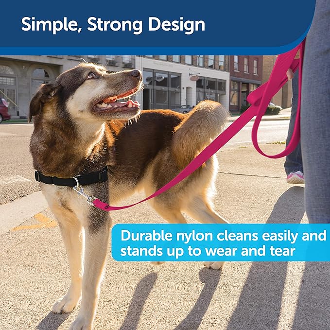 PetSafe Nylon Dog Leash - Strong, Durable, Traditional Style Leash with Easy to Use Bolt Snap - 3/4 in. x 6 ft., Raspberry Pink