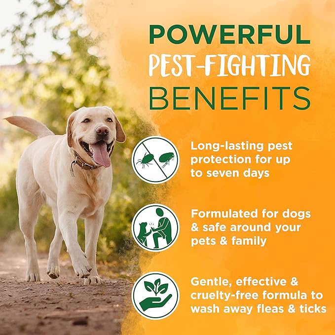 TropiClean Soothing Natural Flea and Tick Dog Shampoo | Natural Flea and Tick Prevention for Dogs | Made in the USA | 1 Gallon